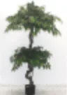 ARTIFICATE PLANT