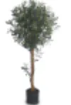 ARTIFICATE PLANT