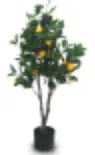 ARTIFICATE PLANT