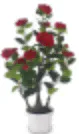 ARTIFICATE PLANT
