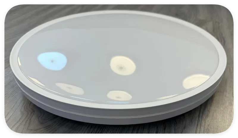LED stropna/plafonska svjetiljka