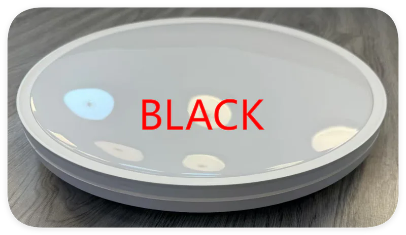 LED stropna/plafonska svjetiljka