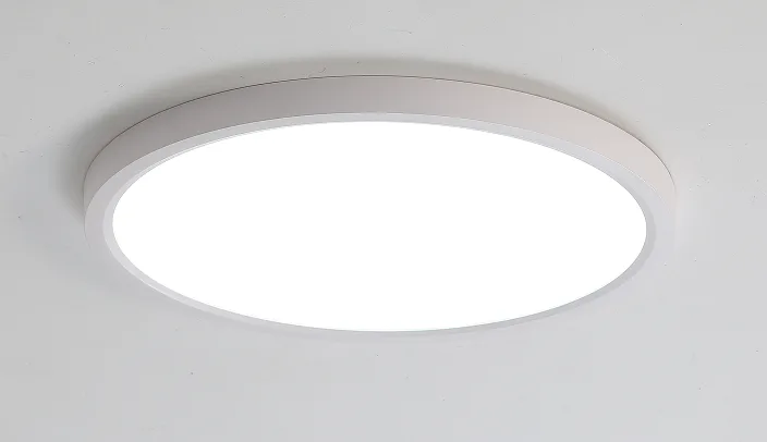 LED stropna/plafonska svjetiljka