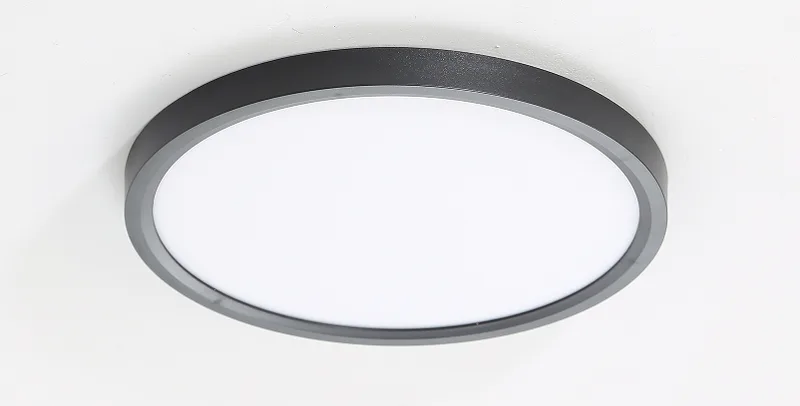 LED stropna/plafonska svjetiljka