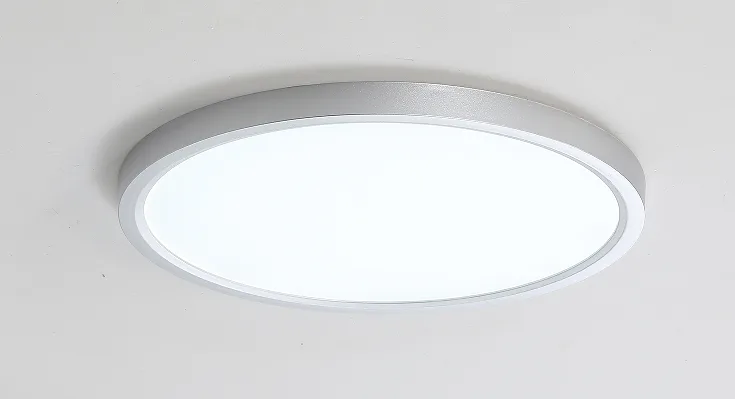LED stropna/plafonska svjetiljka