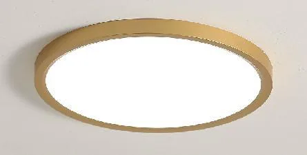 LED stropna/plafonska svjetiljka